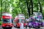 Colombo City Tours-Afternoon Excursion