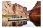 Colorado River Smooth Water Small-Group Float Trip from Sedona or Flagstaff