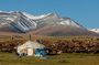 Discover Altai Mountains 8-Day Joining Tour in Western Mongolia