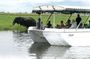 Sunset Cruise on Chobe River with Hotel Pickup from Kasane