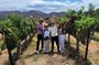 Weekday Wine Tour Special +Local Pick-up in Temecula Wine Country