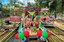 Bamboo Rafting, Margaritaville & Sightseeing Tour In Ocho Rios