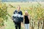 Newcastle: Private Tailored Hunter Valley Wine Tour