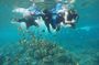Private Small Group Snorkeling and West Nusa Penida Tour All Inclusive from Bali