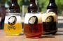 Private Kyiv Beer Tasting Walking Tour