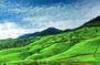 Highlights Of Sri Lanka | 5 Nights 6 Days