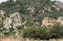 Half Day Private Dalyan River Iztuzu Beach Magic Lake Boat Trip