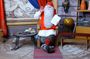 Santa's Premium: Reindeer, Husky, Buffet, Photo, Hotel Transfer