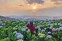 Full day Dalat highlights tour