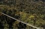 1 Day Canopy Walk Adventure in Nyungwe Forest National Park