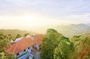 Penang Hill, Kek Lok Si and Botanical Garden Private Guided Tour