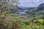 Ring of Kerry and Killarney Ireland Private Day Tour
