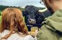 Hairy Coos and Highland Views: A Short-Day Escape from Edinburgh