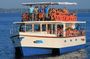 Whale Watching from Talpe on Shared Boat