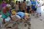 Private Four Day Tour of Madurai and Rameswaram
