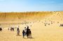 Explore Tottori with the Discover Another Japan Pass