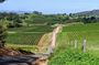Hunter Valley Wine Cheese Chocolate and Coffee