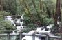 Shivapuri Hill Day Tour