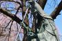 Yoshinoyama : the Roots of Shugendo Spirituality