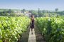 Discover The Cellars in The Heart of The Countryside in Champagne