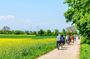 Countryside Bike Tour with Cheese Tasting From Amsterdam
