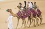 VIP Combo: Dubai City Tour, Desert Safari, and Abu Dhabi Day Trip