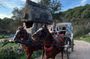 Carriage Ride At Kayaköy Ghost Town