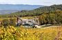Provence Wine Contemporary Art and Iconic Architecture