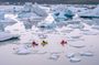 Glacier Lagoon Kayaking Adventure in Skaftafell Iceland