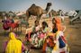 Jaipur to Pushkar Day Trip with Lakeside Lunch
