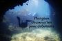Private Scuba Diving Initiation with Licensed Guide