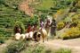 Atlas Mountains with Horse Riding and discover the berber Villages and culture