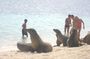 12-Day Ecuador & Galapagos Highlights Tour