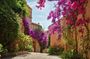 Private Tour from Saint-Tropez to the flowers city