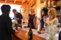 Half-Day Wine Tour from Picton