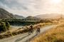 Arrowtown to Queenstown Full-Day Bike Adventure