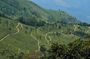 Guided Hike to The Devil's Staircase