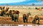 Full Day Private Tour of Tsavo East National Park from Mombasa
