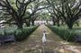 Whitney Plantation Tour with New Orleans Hotel Pickup