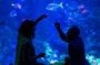 California Academy of Sciences NightLife Plus Admission Ticket