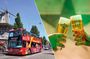 Heineken Experience Ticket and Hop-On Hop-Off Bus in Amsterdam