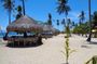 Private Puerto Princesa island tour: Shore excursion