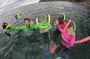Sydney Family Snorkelling Eco Tour