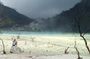 Kawah Putih tour - Day trip Ticket etc all including