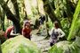 Hike in Sintra: Pena Palace, Moorish Castle, Quinta da Regaleira
