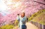 Seoul Cherry Blossom and Pokpo Waterfall Cafe One Day Tour