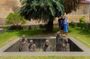 Private Guided Walking Tour in Stone Town