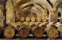 Santa Rita Winery Selection Tour