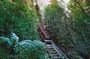 Blue Mountains Adventure w Scenic World, Zoo, Koala Photo & Ferry