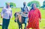 Full Day Tour Delft and Nainativu Island Adventure from Jaffna